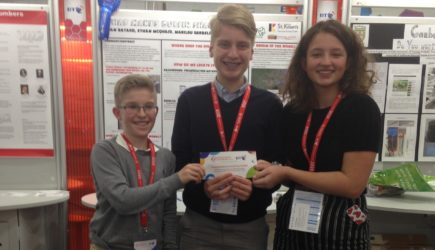 Success at BT Young Scientist Expo 2019