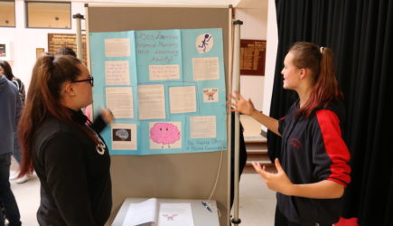 SciFest@School