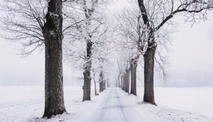 Weihnachtsnachricht von der Schulleiterin