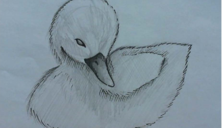 “Springtime” art competition & fundraiser