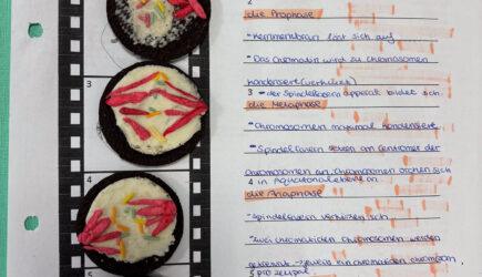 Hands-on Mitosis – creatively brought to life by 9th class in our Sek I Programme