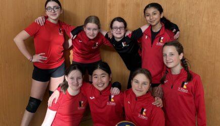 AIJS Volleyball tournament